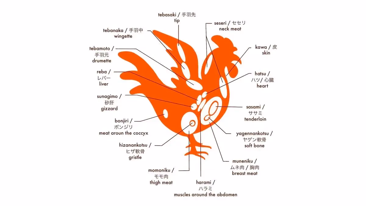 Yakitori Parts - Illustrated Explanation