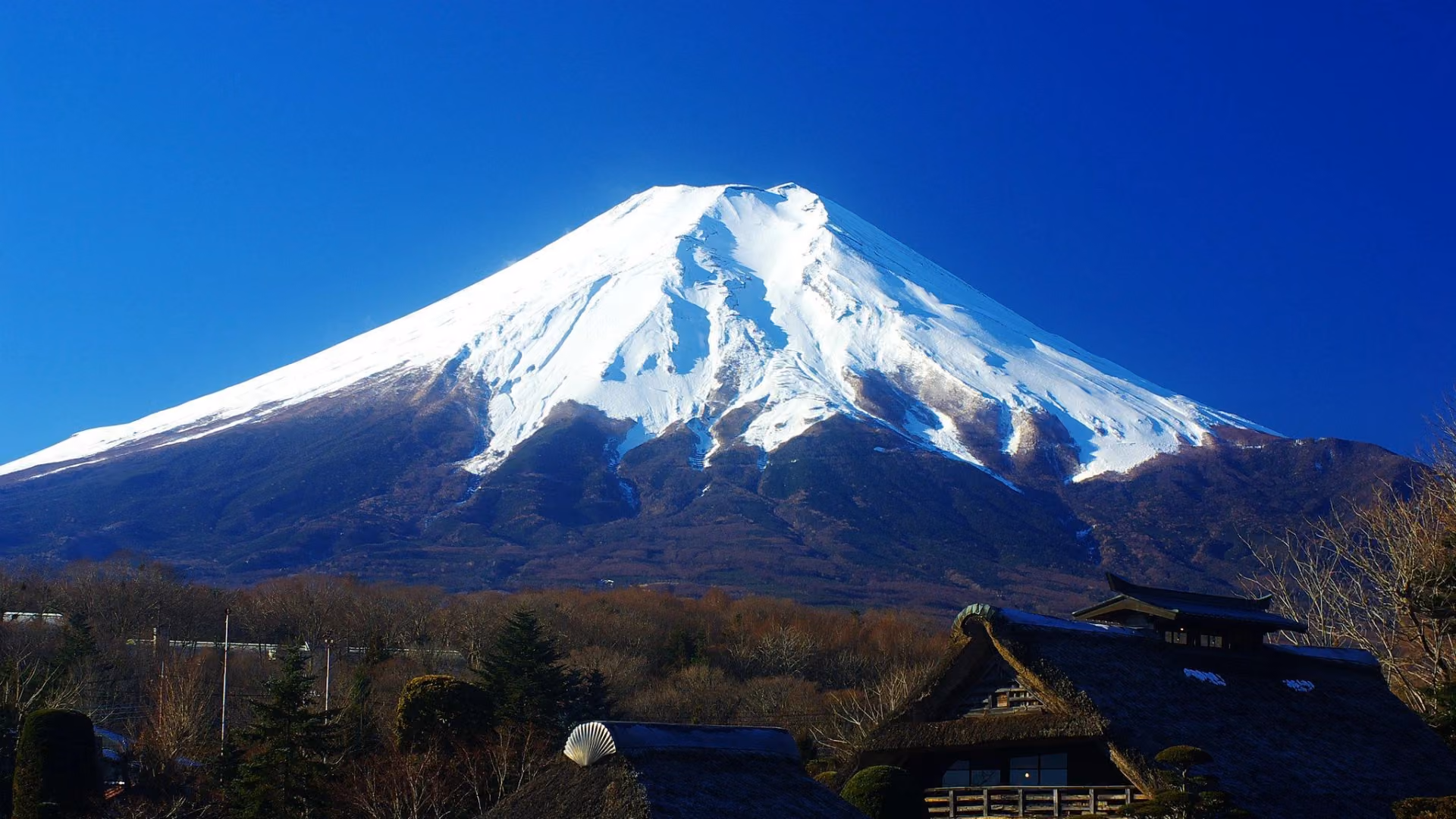 Mount Fuji