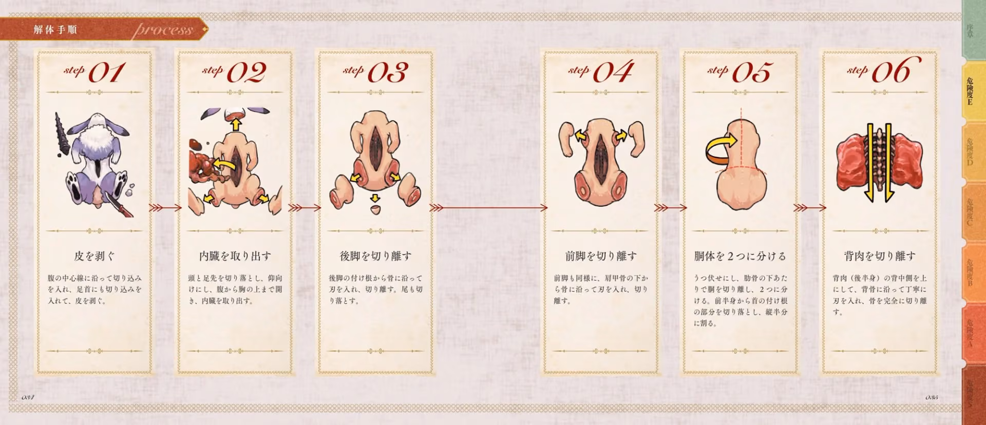 Horn Rabbit Dissection Process