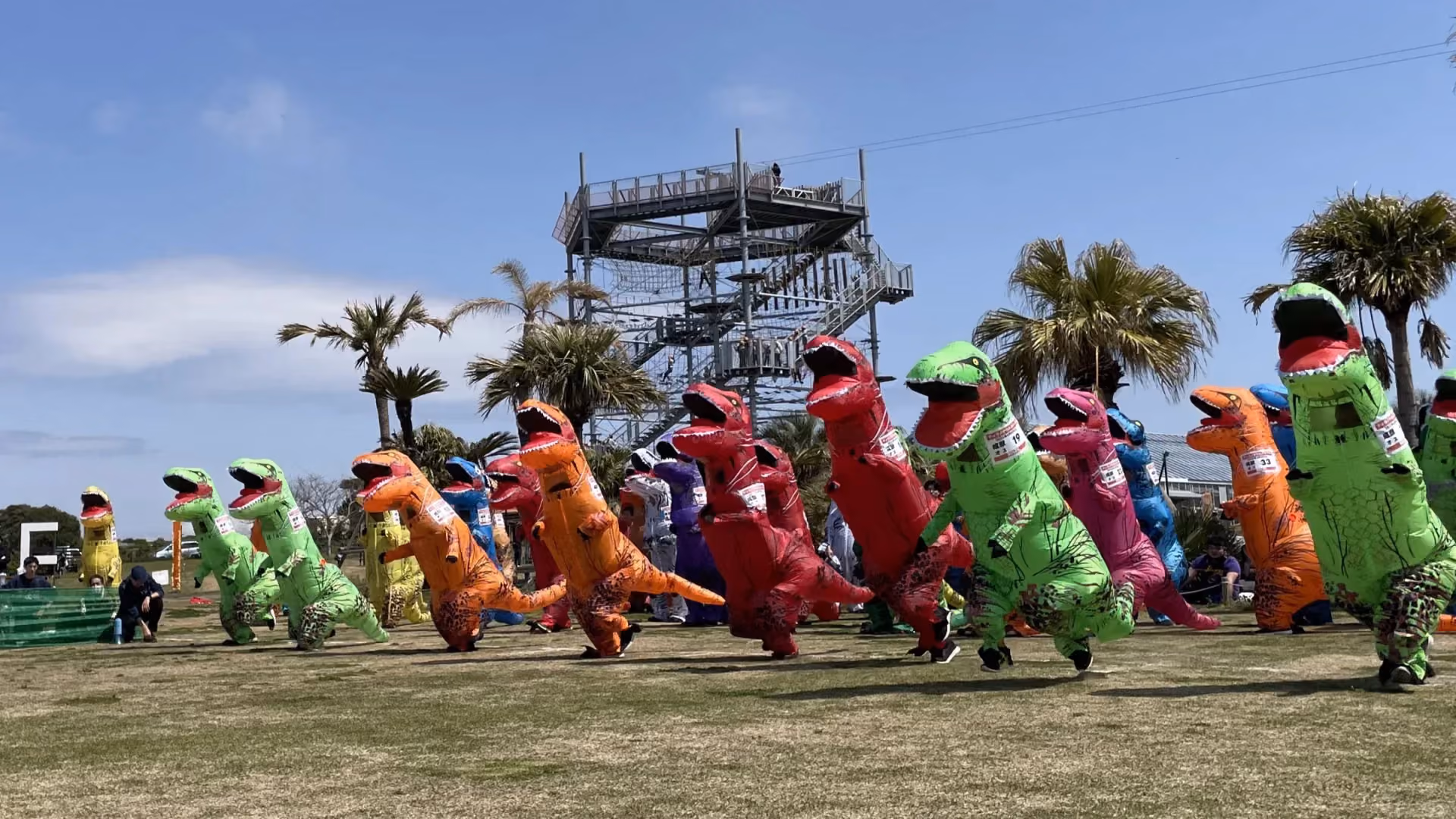 T-rex Race