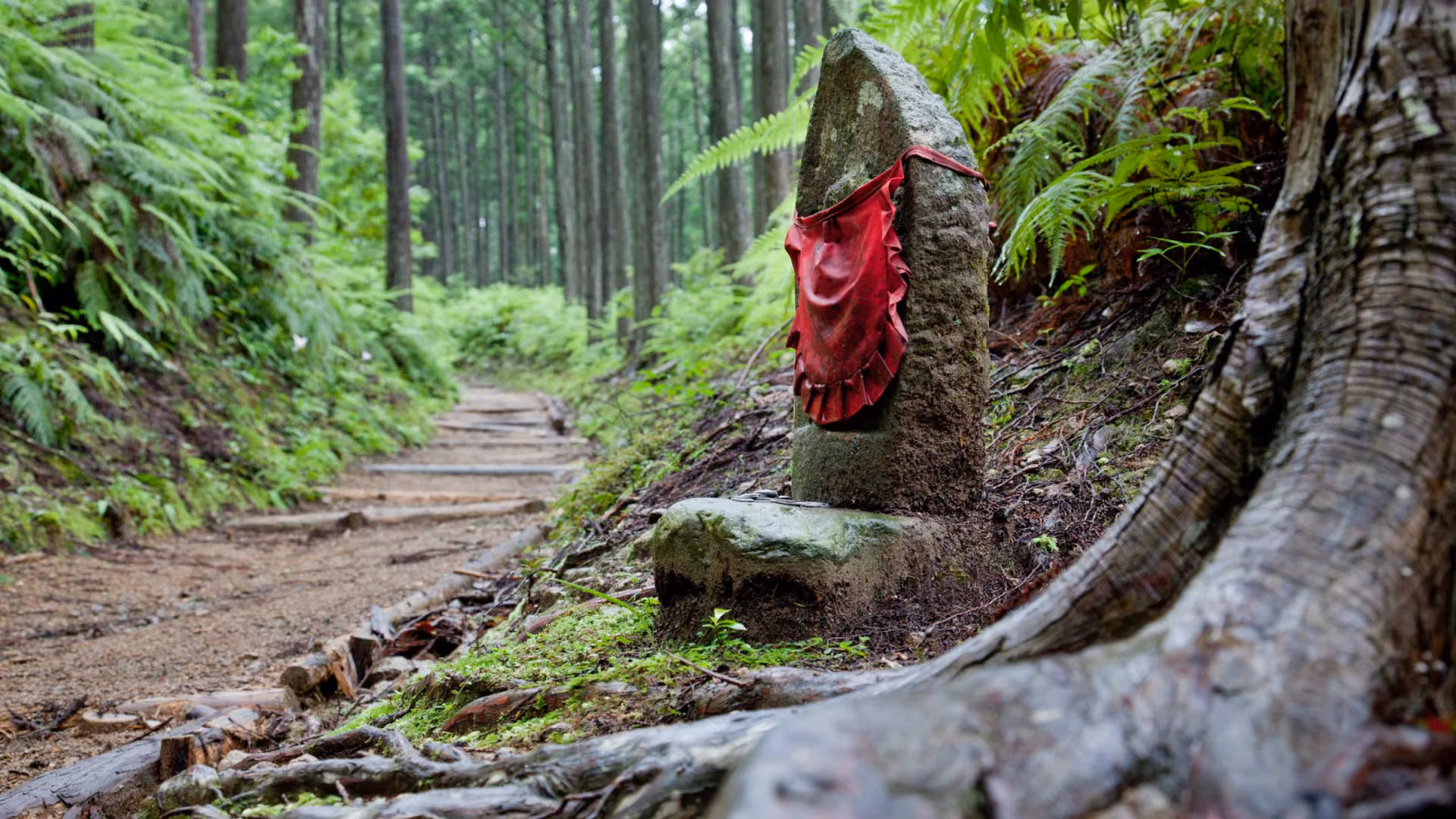 A red-bibbed stone Jizo marks the forest trail of the Kumano Kodo Nakahechi, Wakayama