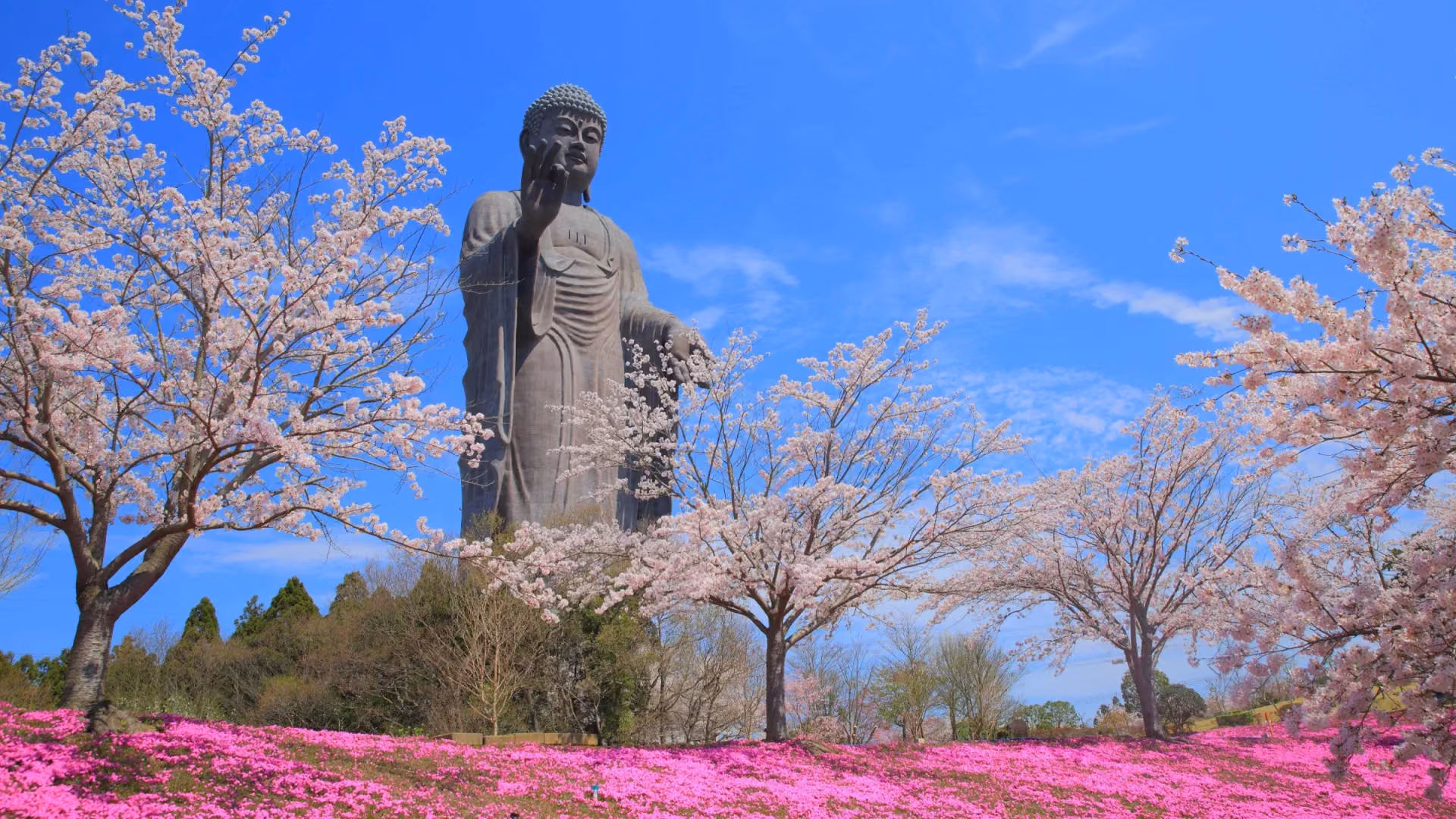 Ushiku Daibutsu, Ushiku, Ibaraki