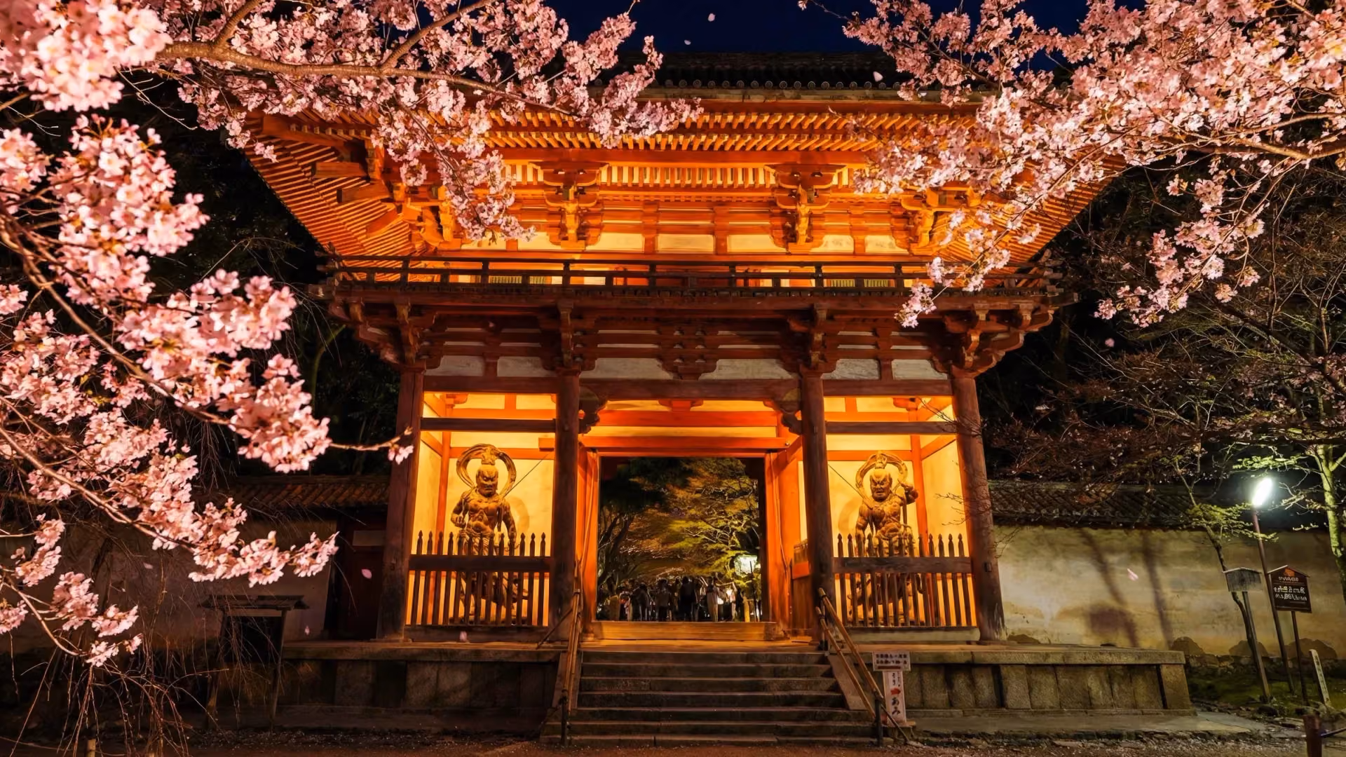 Illuminated Niomon gate during the "Soda Kyoto, Iko. Presents NAKED meets World Heritage Daigo-ji - Daigo Hanami - " event