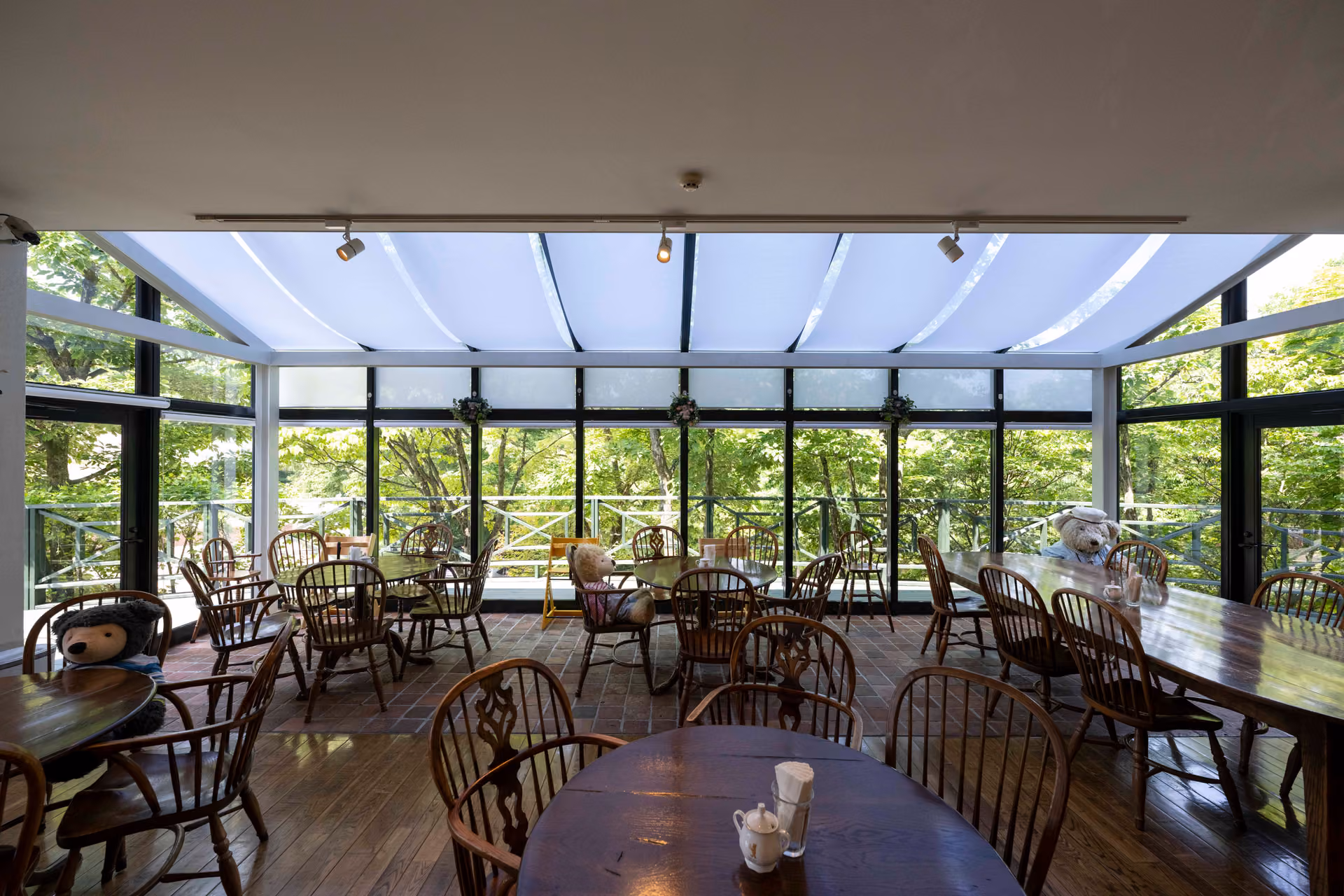The tea room Teddy's Garden, with wooden tables and chairs under a glass roof and large windows facing green trees