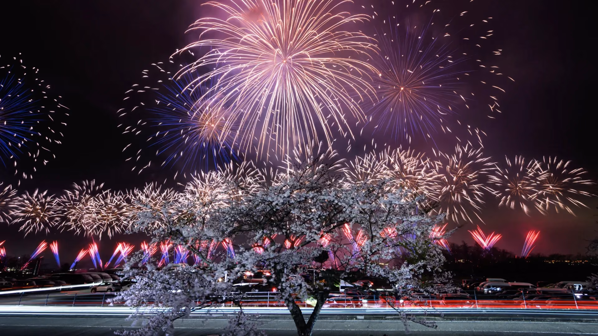 Fireworks Season
