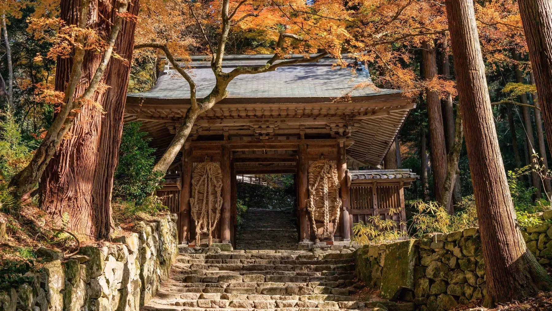 The Nio gate, Hyakusaiji