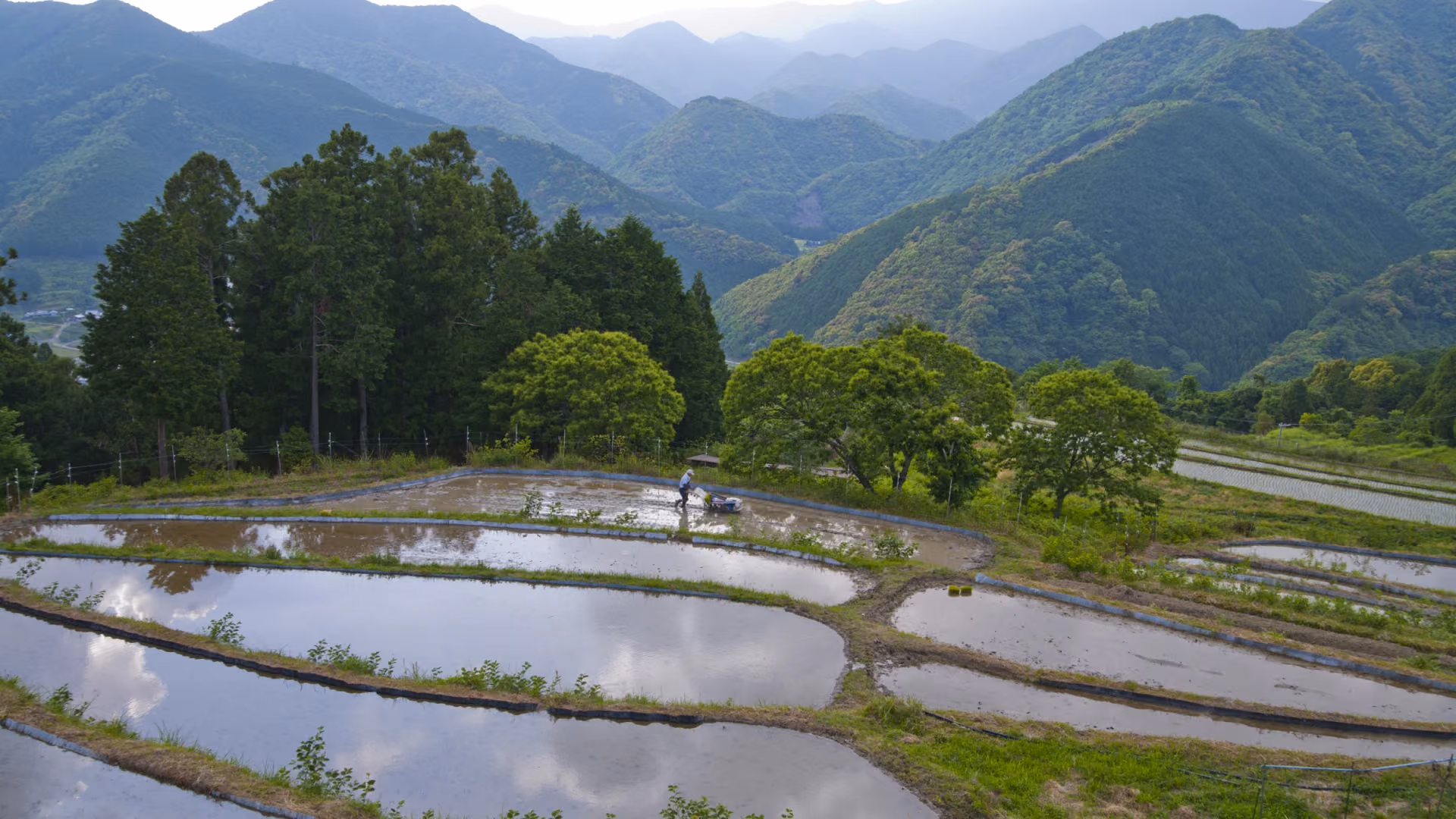 Terraced rice paddies reflect the mountains at Takahara along the Kumano Kodo Nakahechi, Wakayama