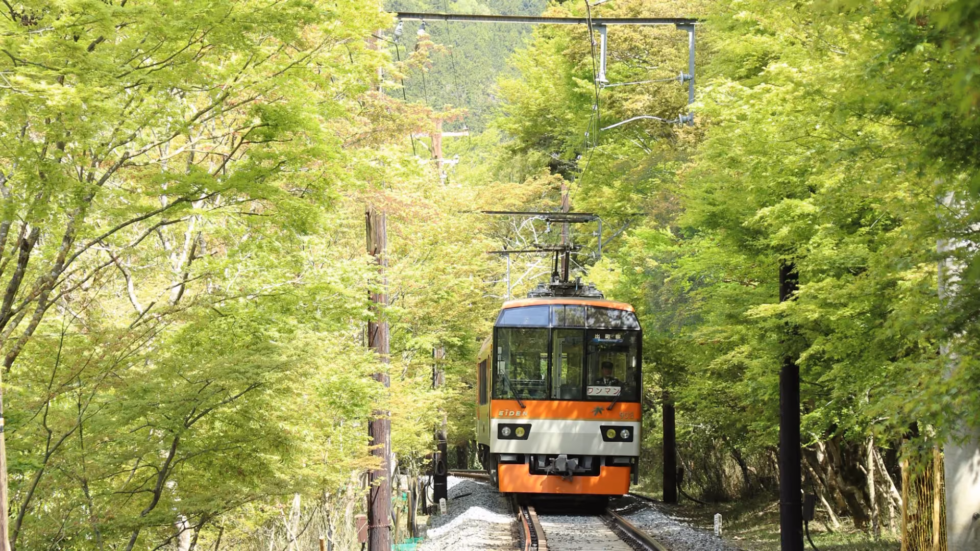 Eizan Railway Green Maple Tunnel
