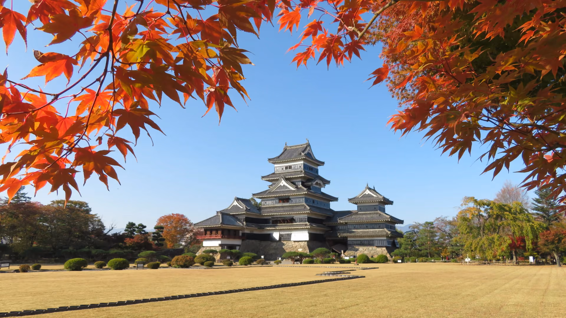 Matsumoto Castle in Autumn