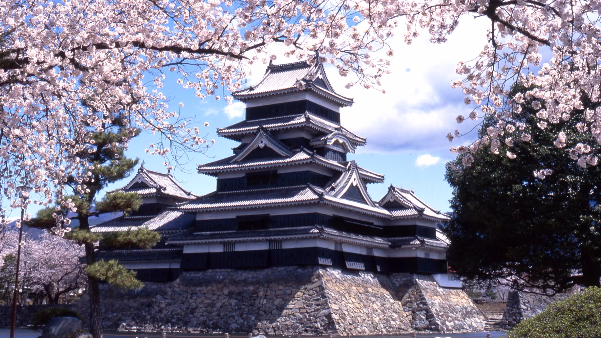 Matsumoto Castle in Spring