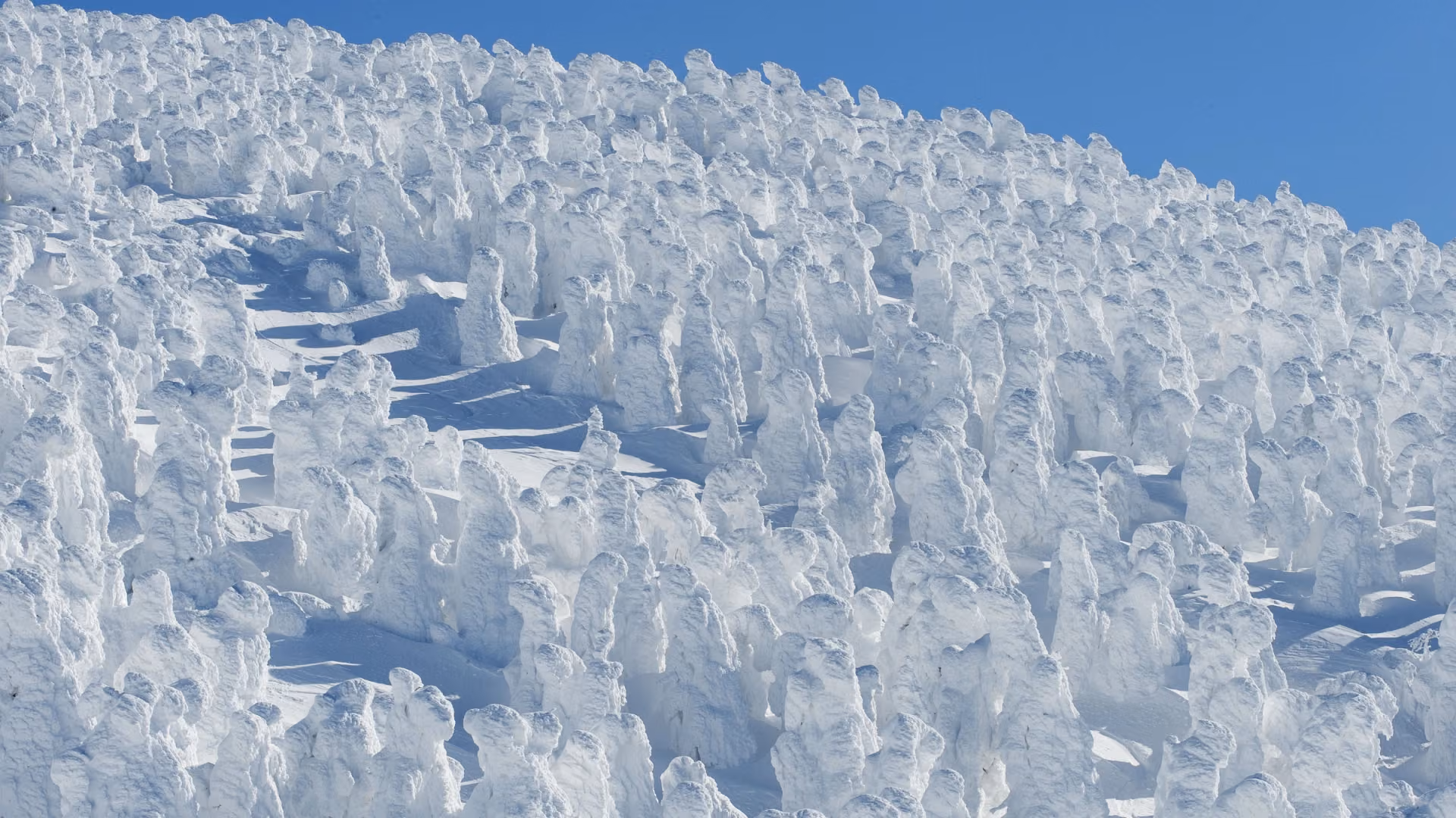 Ski & Snowboard Season