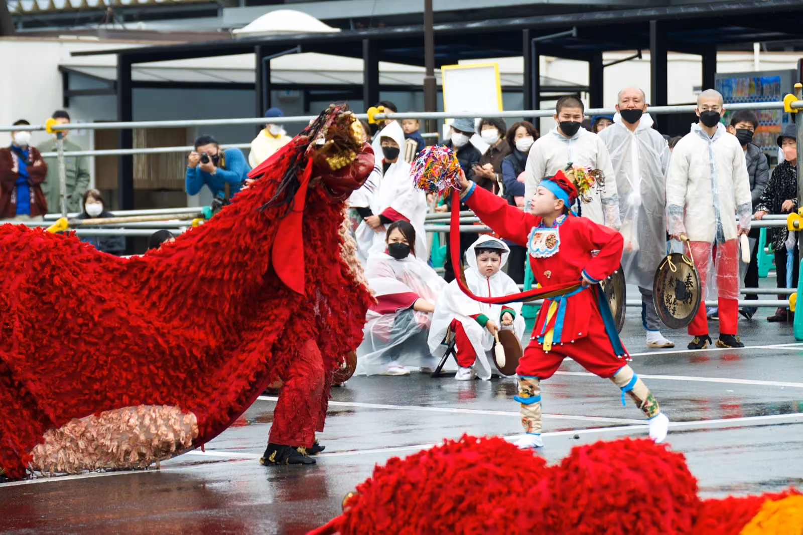 The lion dance