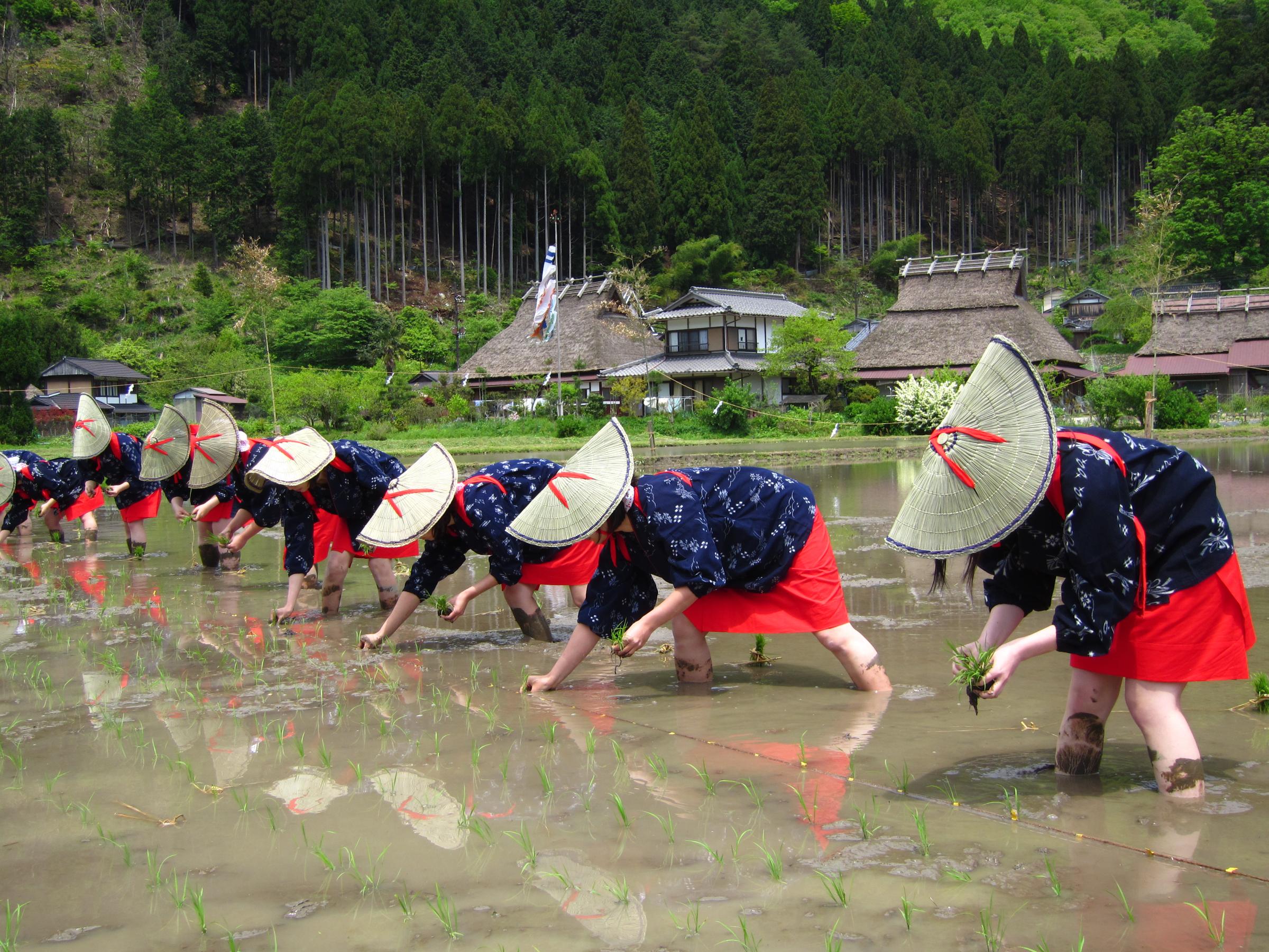 Kayabuki no Sato “Otaue” (Rice Planting) Festival