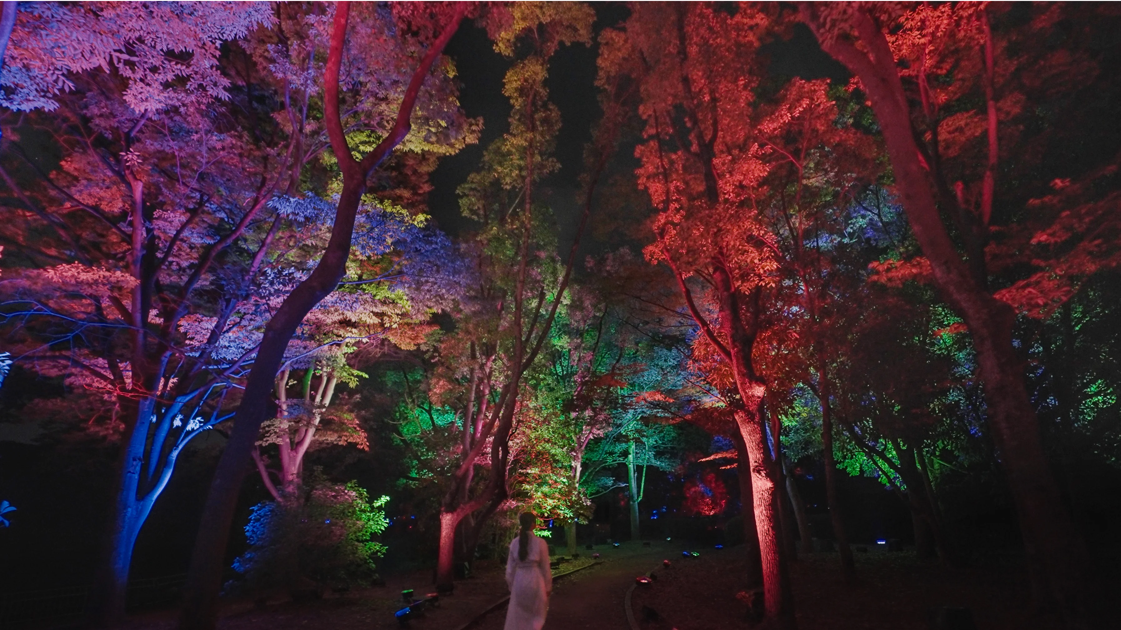 Interactive Digital Installation by teamLab: Resonating Trees – Camphor Tree and Zelkova