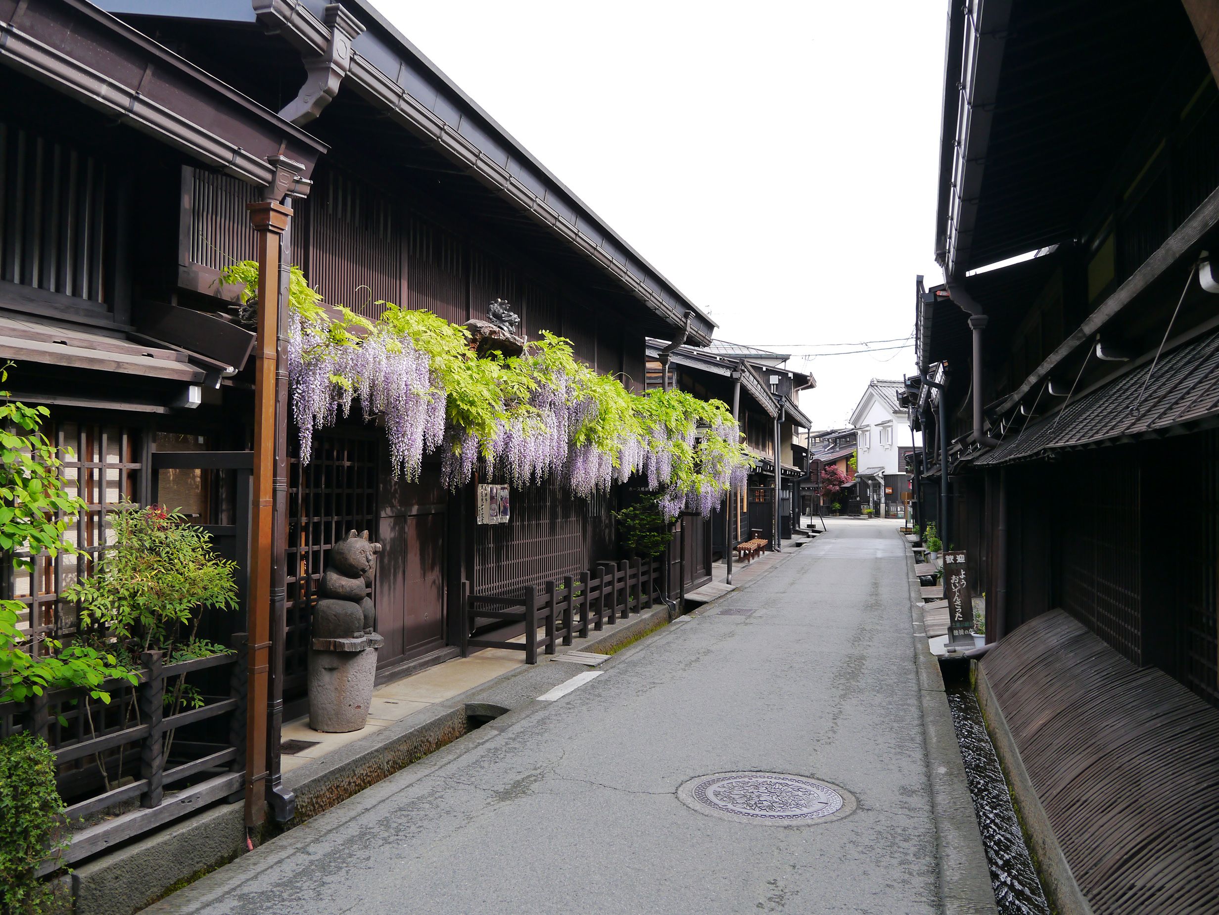 Kami-Sannomachi Street in Spring