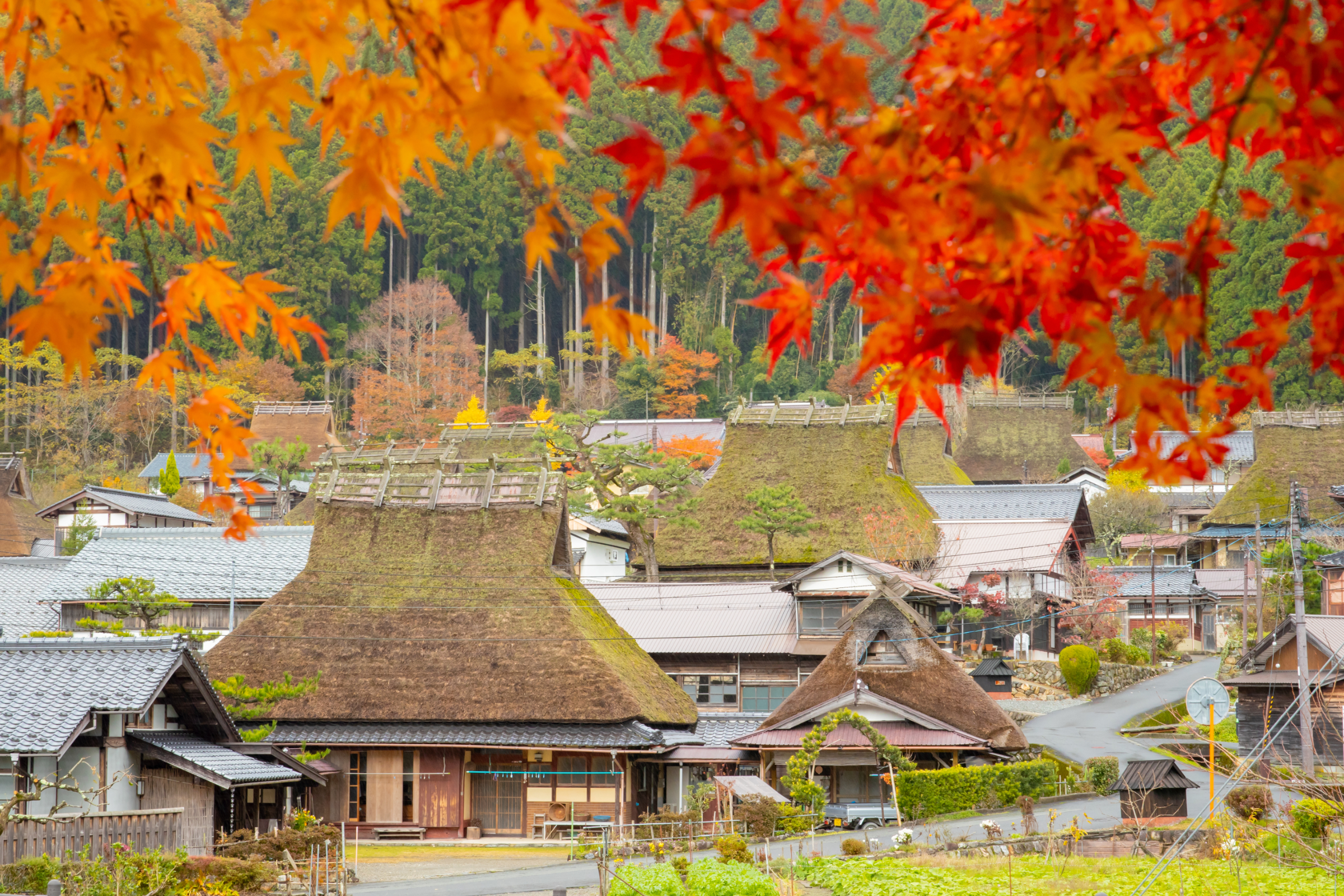 Kayabuki no Sato in Autumn