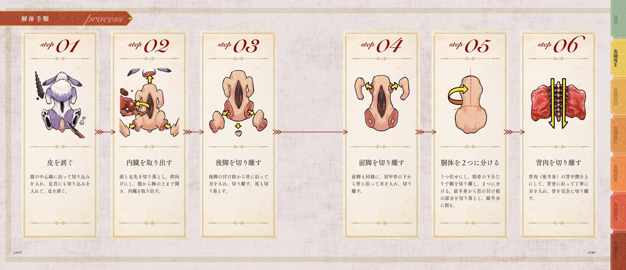 Horn Rabbit Dissection Process