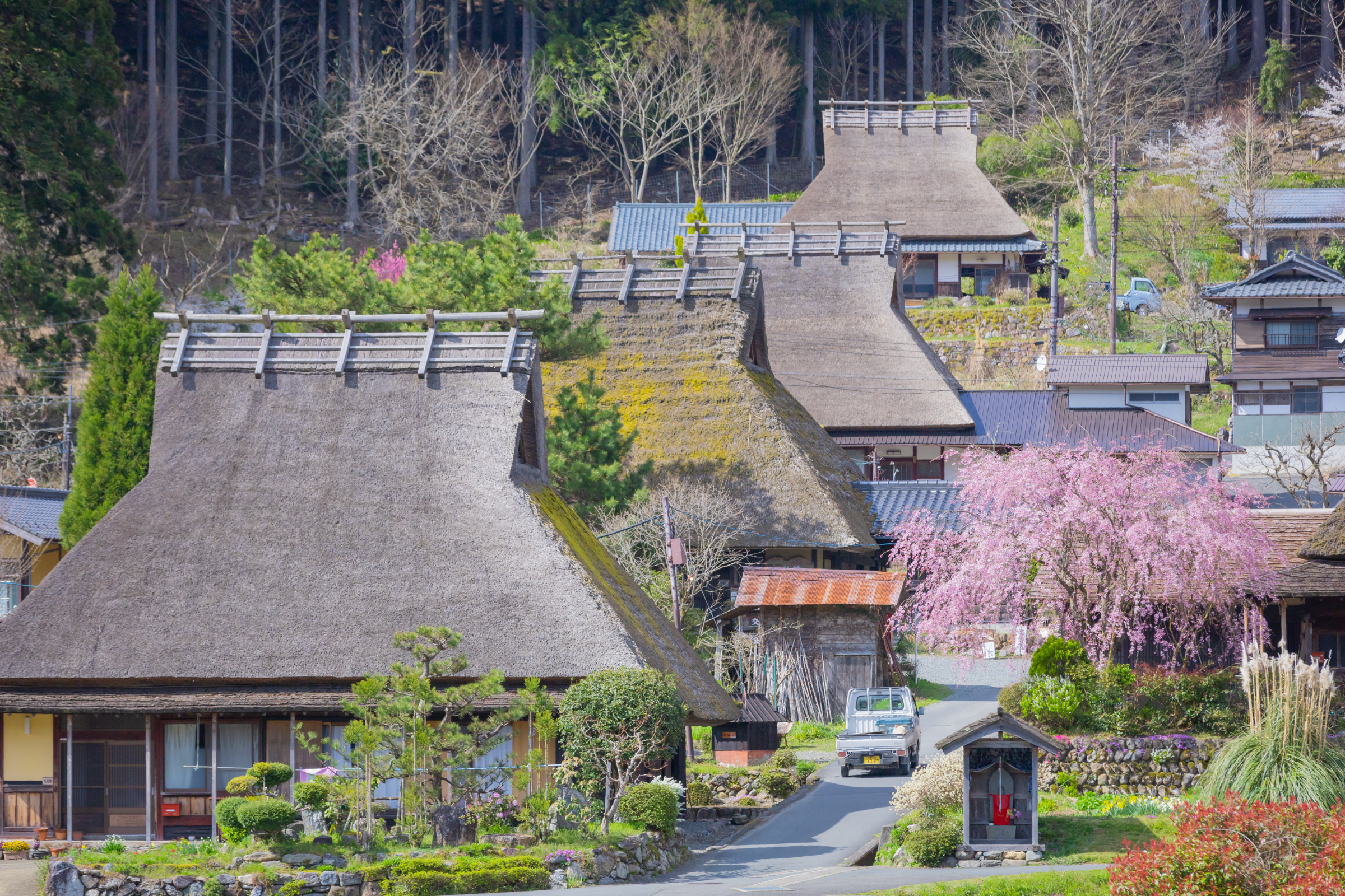 Kayabuki no Sato in Spring