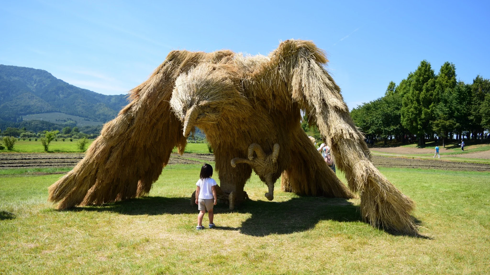 A giant straw sculpture of an eagle at the Wara Art Festival in 2016