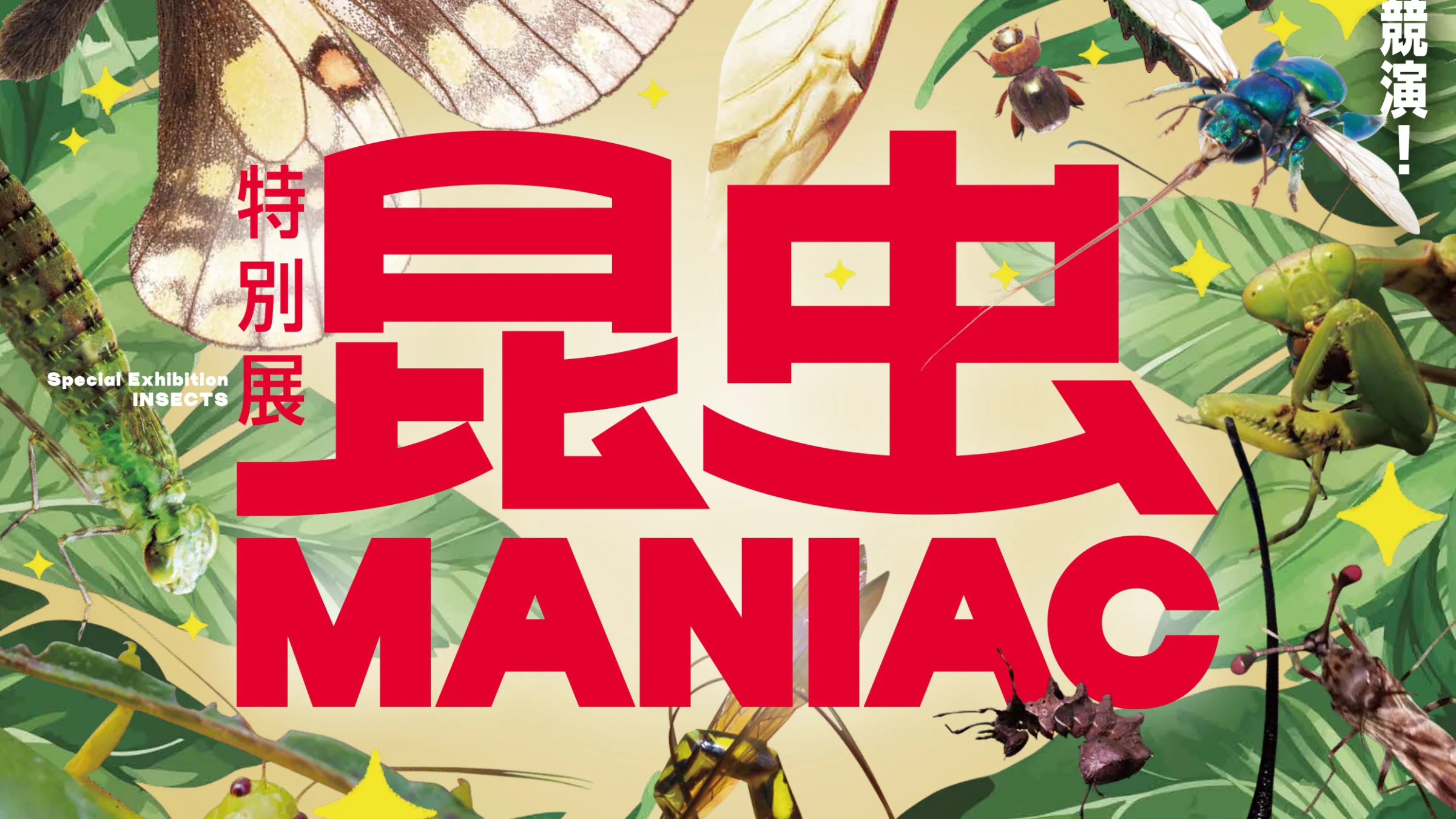 Key visual for the special exhibition 'Insect Maniac'