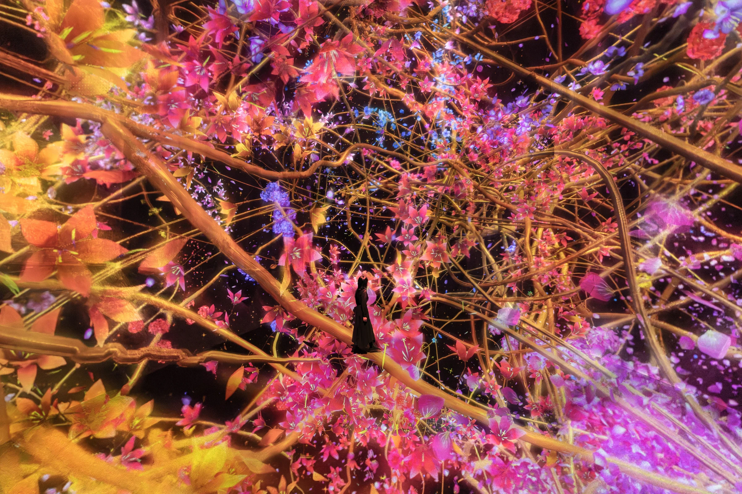 'Traces of Life' – An Interactive Installation at teamLab Biovortex Kyoto