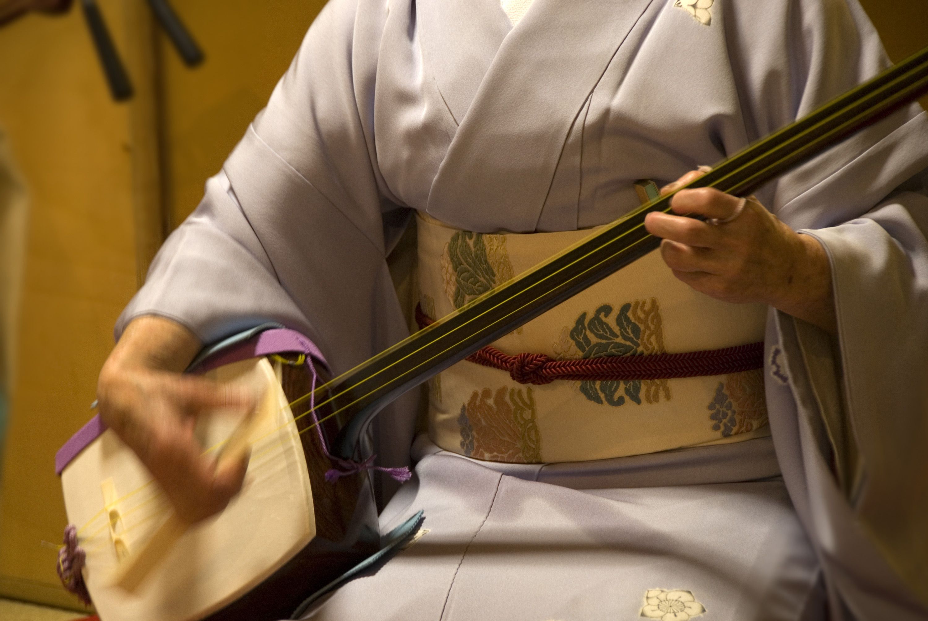 Geisha playing traditional Japanese musical instrument