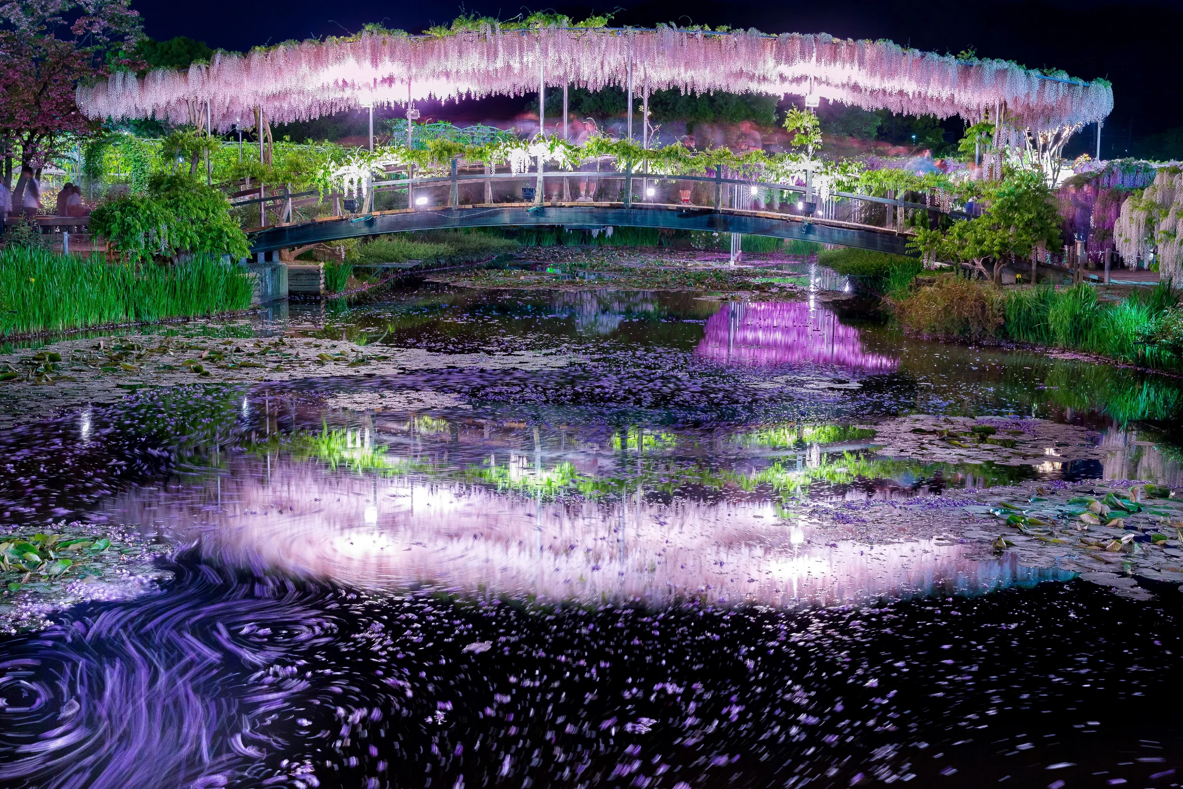 Night Illumination at Ashikaga Flower Park
